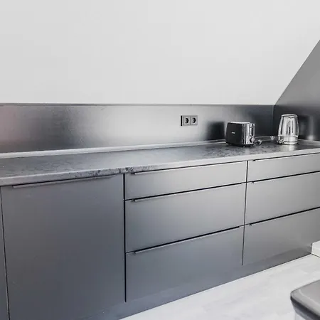 Apartamento Luxury 4 Bedroom Apartment/therme Erding/parking *